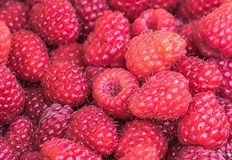 Червеният плод подобрява кръвната картина и работата на черватаМалините имат способността