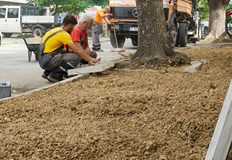 Сформирана през миналата година групата работи ежедневно както в кварталите така