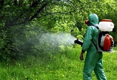 На 18 август четвъртък от 20 00 до 23 30 ч ще се проведат