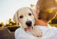 Лятото е в разгара си а това значи че прекарваме