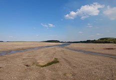 Причината е климатичната криза твърдят природозащитнициРеки пресъхват реколтата страда горещини