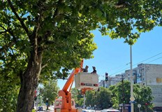 Мащабна акция по резитба на клони и храсти закриващи пътни