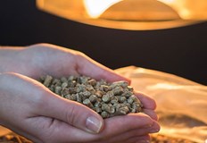 Цената на пелетите продължава да расте Фабрики намаляват или спират