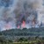 Пожарът край Елшица е тръгнал от запалено стърнище