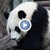 Гигантска панда роди близнаци