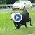 Полиция преследва избягала крава по магистрала