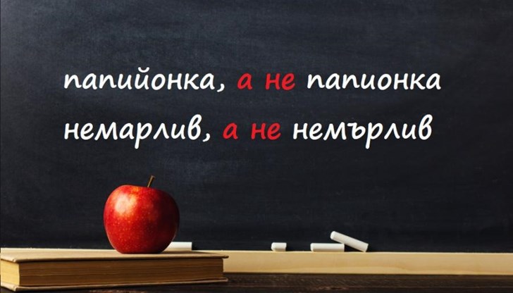 Българите не сме толкова грамотни, колкото би ни се искало