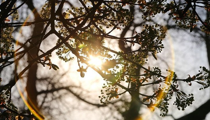 По Черноморието ще бъде предимно слънчево