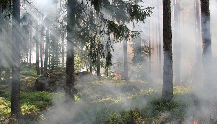 В Харманли, Любимец и Свиленград обявиха бедствено положение В Харманли, Любимец и Свиленград обявиха бедствено положение