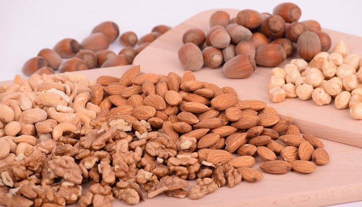 Според специалистите лешниците са истински склад за здрав