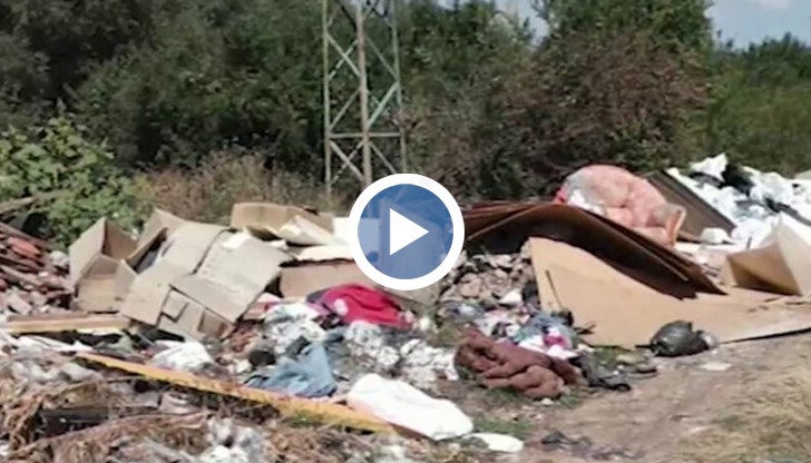 Сред боклуците има ТЕЛК решения, нотариални актове, бланки с попълнени ЕГН-та