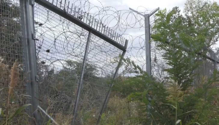 За да издържат на преходите, бежанците използват стимулиращи медикаменти за белия дроб и втриват във венците си нискокачествения наркотик За да издържат на преходите, бежанците използват стимулиращи медикаменти за белия дроб и втриват във венците си нискокачествения наркотик