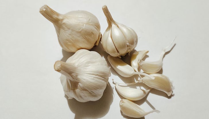 Чесънът има благоприятен ефект върху сърдечносъдовата система Чесънът има благоприятен ефект върху сърдечносъдовата система