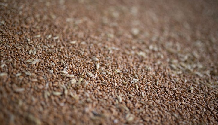 Зърнопроизводителите у нас се подготвят за протестни действия Зърнопроизводителите у нас се подготвят за протестни действия