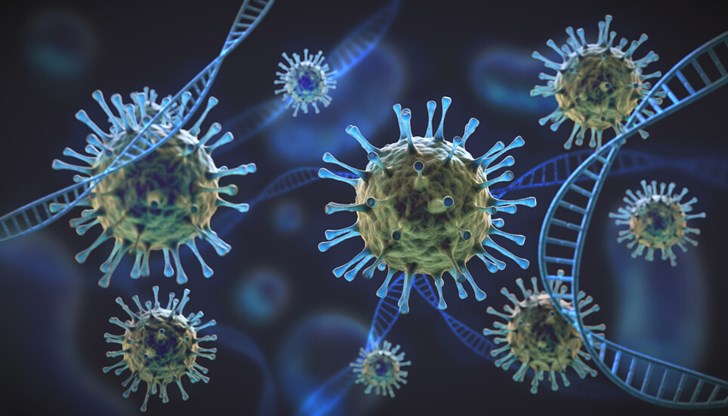 Вирусологът от БАН проф. Радостина Александрова разясни клиничната картина