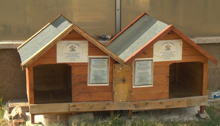 Кучето успява да се добере до къщичката си с последни сили и малко по -късно издъхва Кучето успява да се добере до къщичката си с последни сили и малко по -късно издъхва