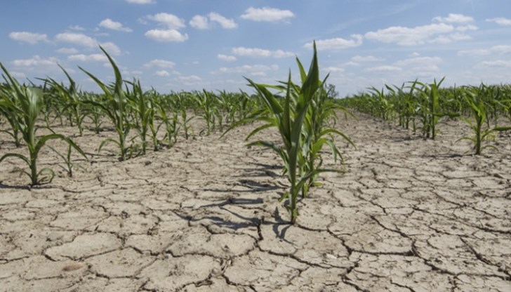 На места дъжд не е валял от близо 2 месеца На места дъжд не е валял от близо 2 месеца