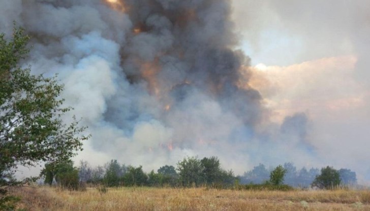 Стихията е обхванала площ от над 2000 дка Стихията е обхванала площ от над 2000 дка