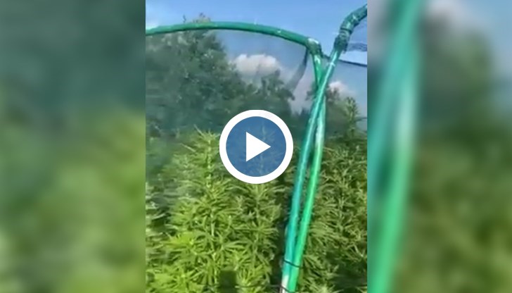 Той е криминално проявен