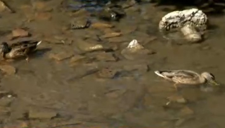 Днес от Агенцията по храните трябва да излязат с повече информация Днес от Агенцията по храните трябва да излязат с повече информация