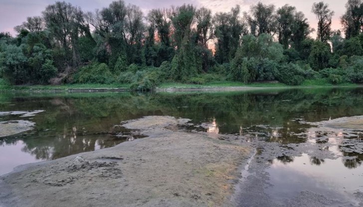 През юли в българския участък са преминали два пъти по-малко водни количества в сравнение със средното многогодишно количество за месеца, каза експертът Стоян Михов