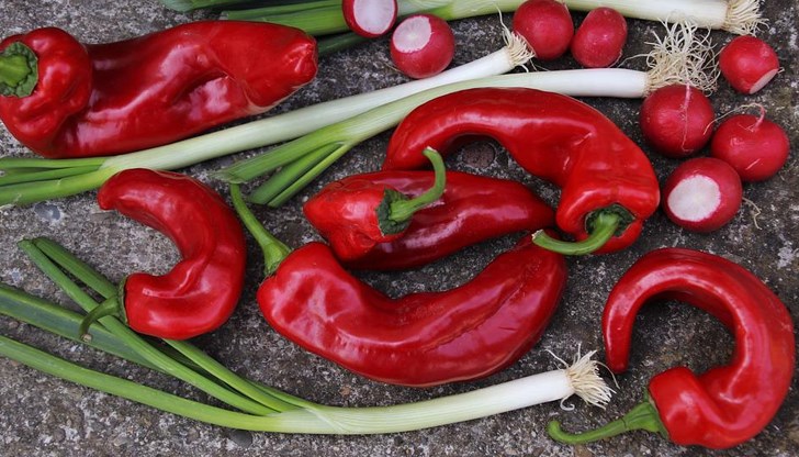 Едва ли има българска трапеза, на която чушката да не присъства целогодишно Едва ли има българска трапеза, на която чушката да не присъства целогодишно