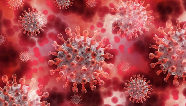 Положителните проби за денонощието са 17 процента