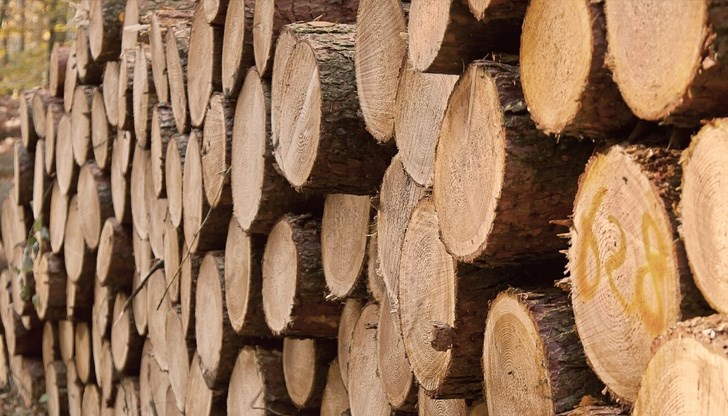 Очаква ли се ново поскъпване? Очаква ли се ново поскъпване?