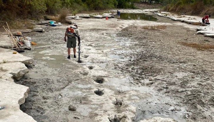 Те са на акрокантозавър