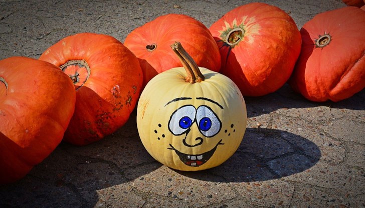 Вижте месечния хороскоп за всяка зодия Вижте месечния хороскоп за всяка зодия