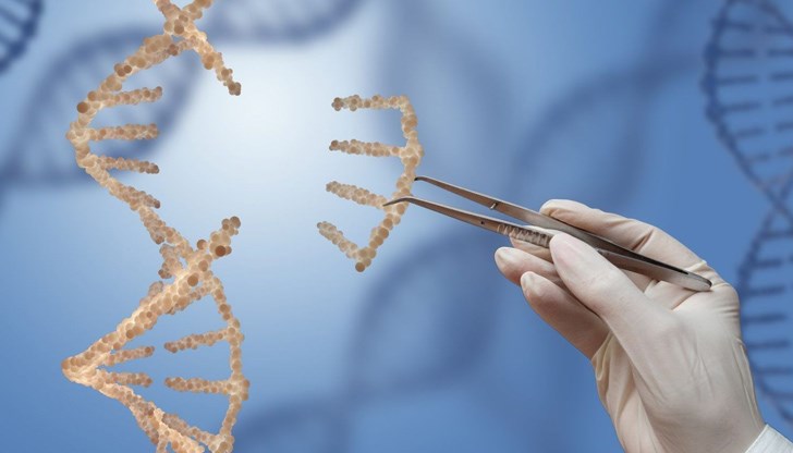 Генът, който прави фаталния изход по-малко вероятен, се нарича GNB3 ТТ