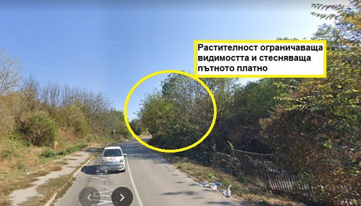 Избуяла растителност създава предпоставки за пътни инциденти