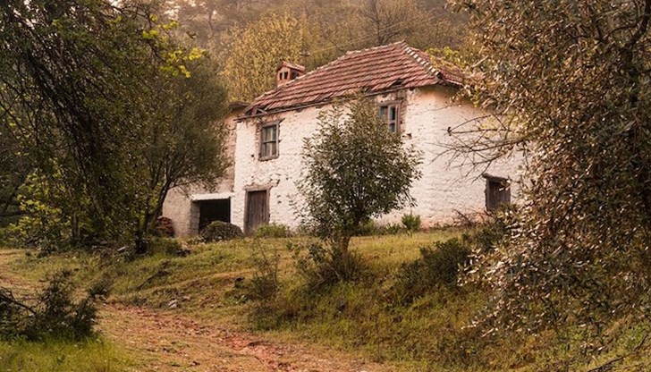 Местните твърдят, че звуците били съпроводени от продължаващи няколко секунди трусове