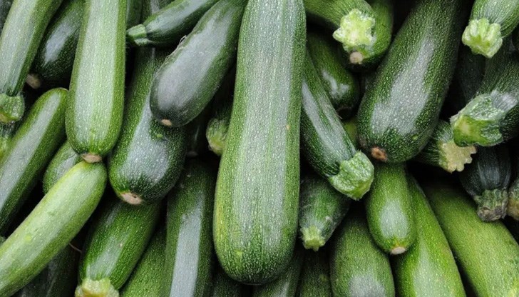 В Андалусия се отглеждат големи количества зеленчуци, които се доставят на европейския пазар