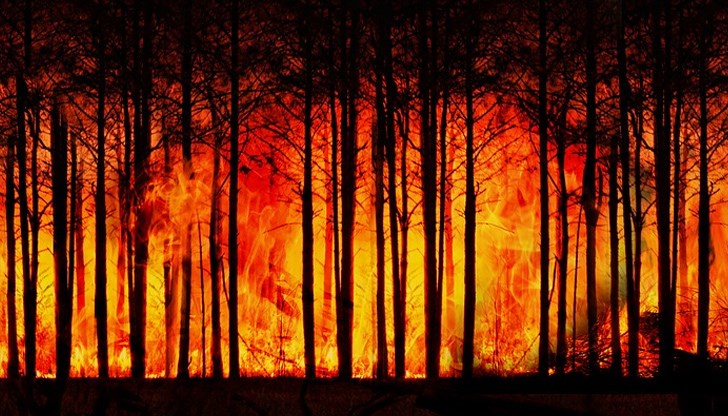 Над 1300 души бяха евакуирани заради поредния горски пожар в провинция Сарагоса