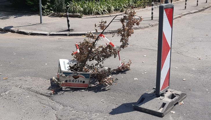 Кога общинските служители ще благоволят да си свършат работата, за която получават заплати от нашите данъци - не е ясно Кога общинските служители ще благоволят да си свършат работата, за която получават заплати от нашите данъци - не е ясно