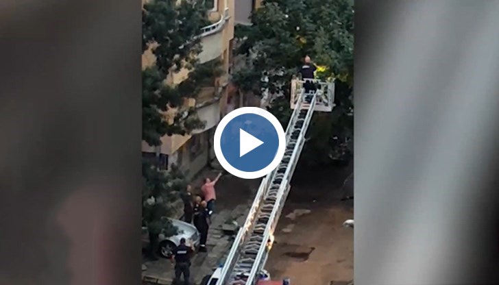 Пожарникари и полицаи браха банкноти от дърво