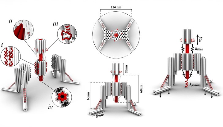 Размерът на устройството е един нанометър Размерът на устройството е един нанометър