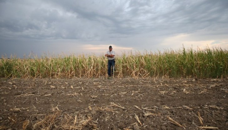 Континенталната част на Португалия страда сериозно от екстремно сухото време Континенталната част на Португалия страда сериозно от екстремно сухото време