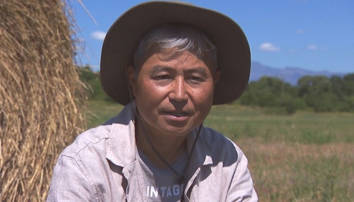 Уасабито е едно от най-капризните растения