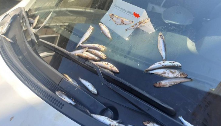 Случаят е от Поморие