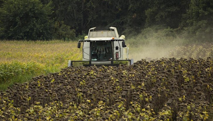 Пропаднали площи няма, но добивът е по-нисък Пропаднали площи няма, но добивът е по-нисък