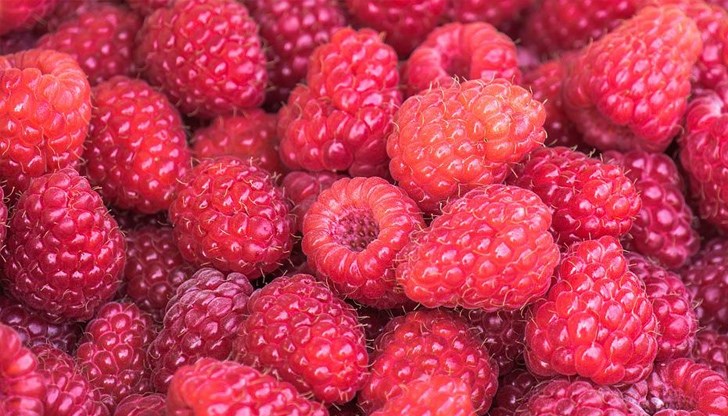 Червеният плод подобрява кръвната картина и работата на червата Червеният плод подобрява кръвната картина и работата на червата