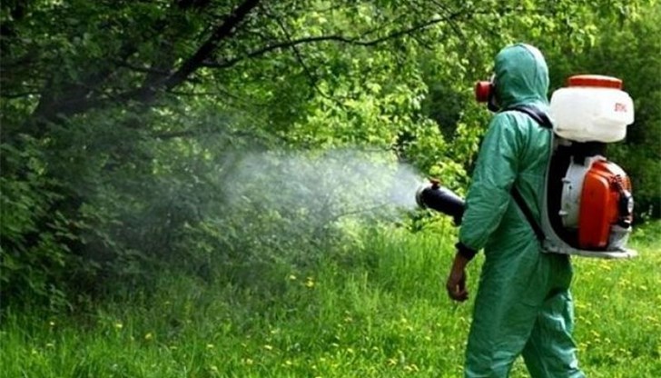 Общината ще извършва обработка срещу комари в няколко района около Русе