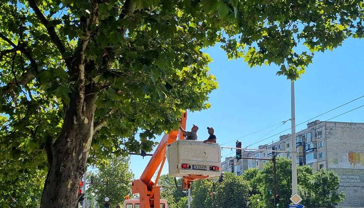 Премахнати са храсти на 40 от общо 66 улици и кръстовища, включени в списъка