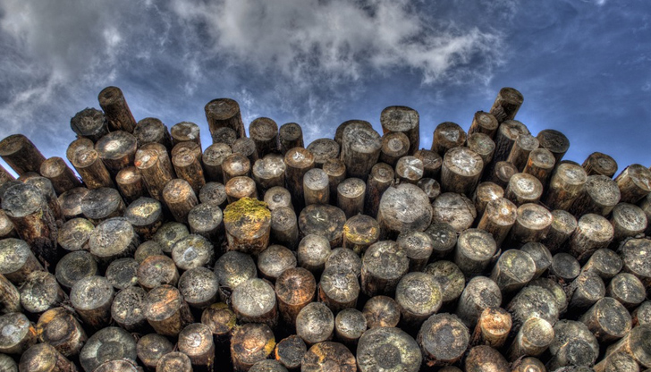 Складът е локализиран в ДЛС &bdquo;Дунав&ldquo; &ndash; Русе, в разсадник