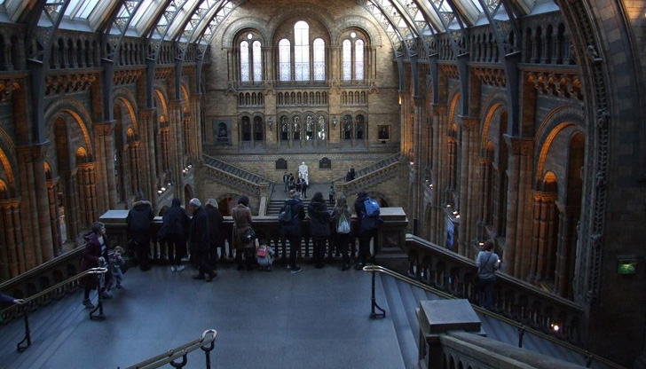 Британските библиотеки и музеи се подготвят да бъдат топло убежище
