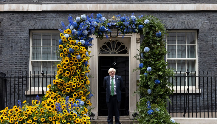 За направата на арката са използвани 800 слънчогледа от три