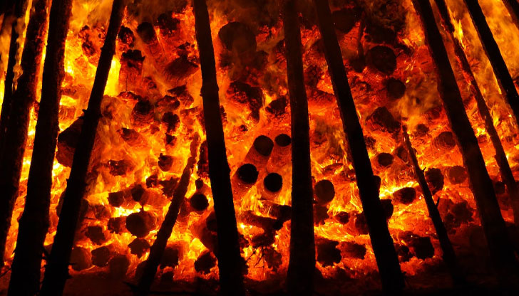 През тази година са изгорели над 700 000 хектара гориЕвропейският