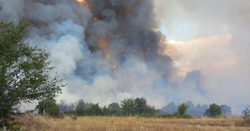 Частично бедствено положение въвежда община Панагюрище заради големия пожар, който